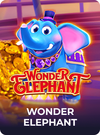 wonder elephant