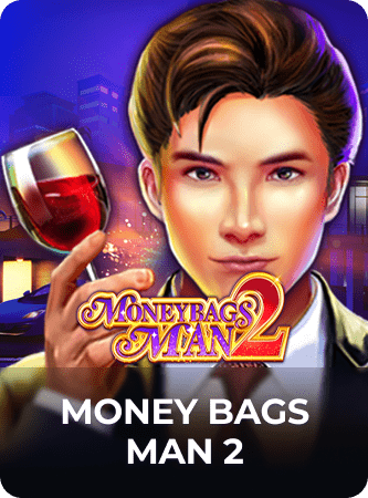 moneybags man 2