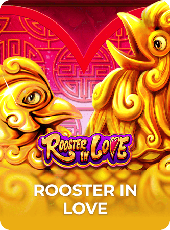 rooster in love