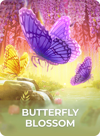 butterfly blossom