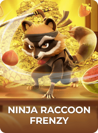 ninja raccoon frenzy