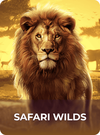 safari wilds