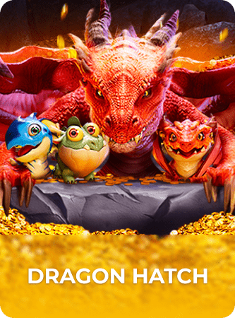 dragon hatch