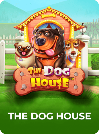 the dog house