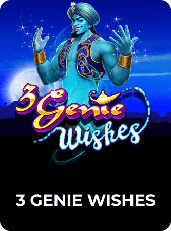 3 genie wishes