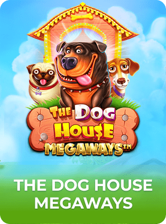 the dog house megaways